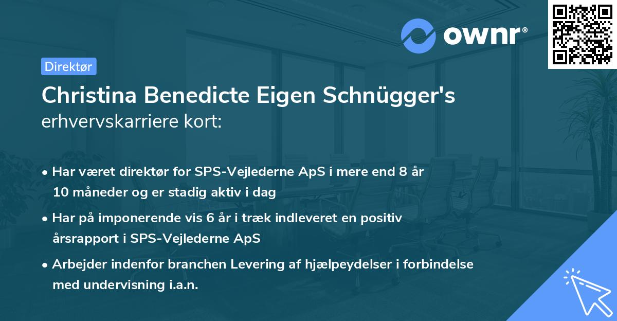 Christina Benedicte Eigen Schnügger's erhvervskarriere kort