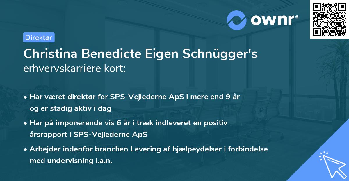 Christina Benedicte Eigen Schnügger's erhvervskarriere kort