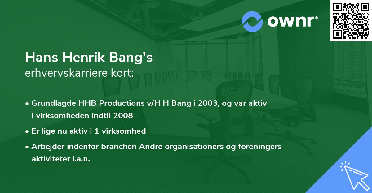 Hans Henrik Bang's erhvervskarriere kort