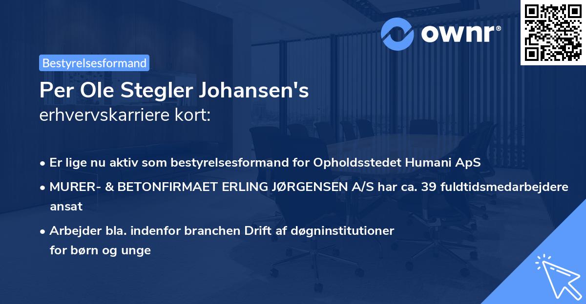 Per Ole Stegler Johansen's erhvervskarriere kort