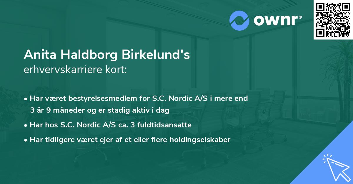Anita Haldborg Birkelund's erhvervskarriere kort