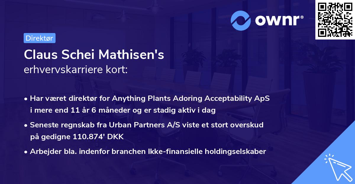 Claus Schei Mathisen's erhvervskarriere kort