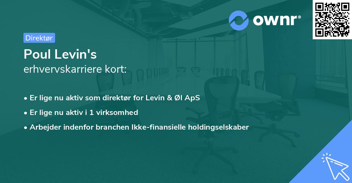 Poul Levin's erhvervskarriere kort