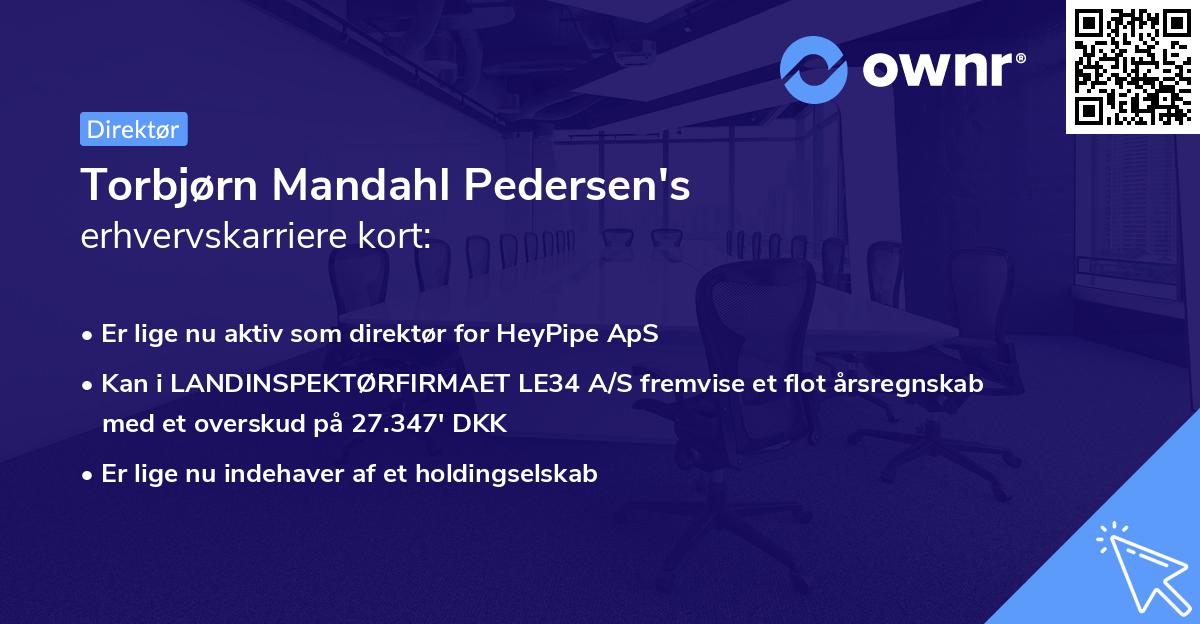 Torbjørn Mandahl Pedersen's erhvervskarriere kort