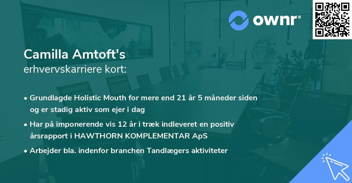 Camilla Amtoft's erhvervskarriere kort