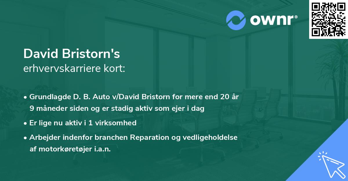 David Bristorn's erhvervskarriere kort