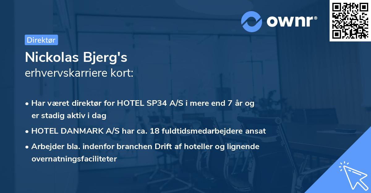 Nickolas Bjerg's erhvervskarriere kort