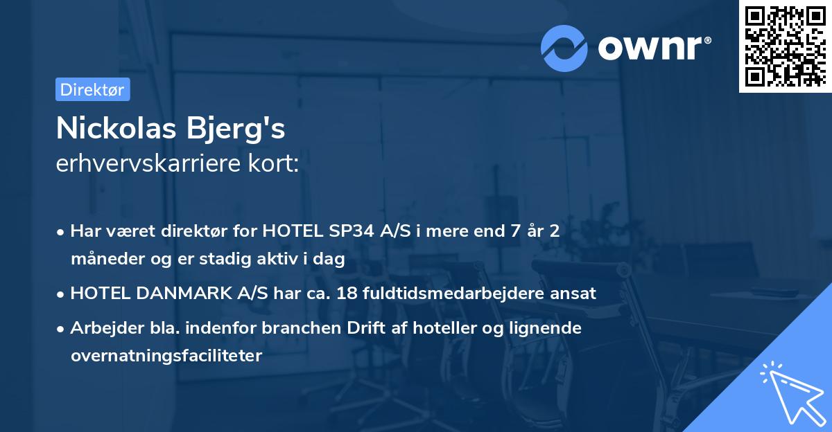 Nickolas Bjerg's erhvervskarriere kort