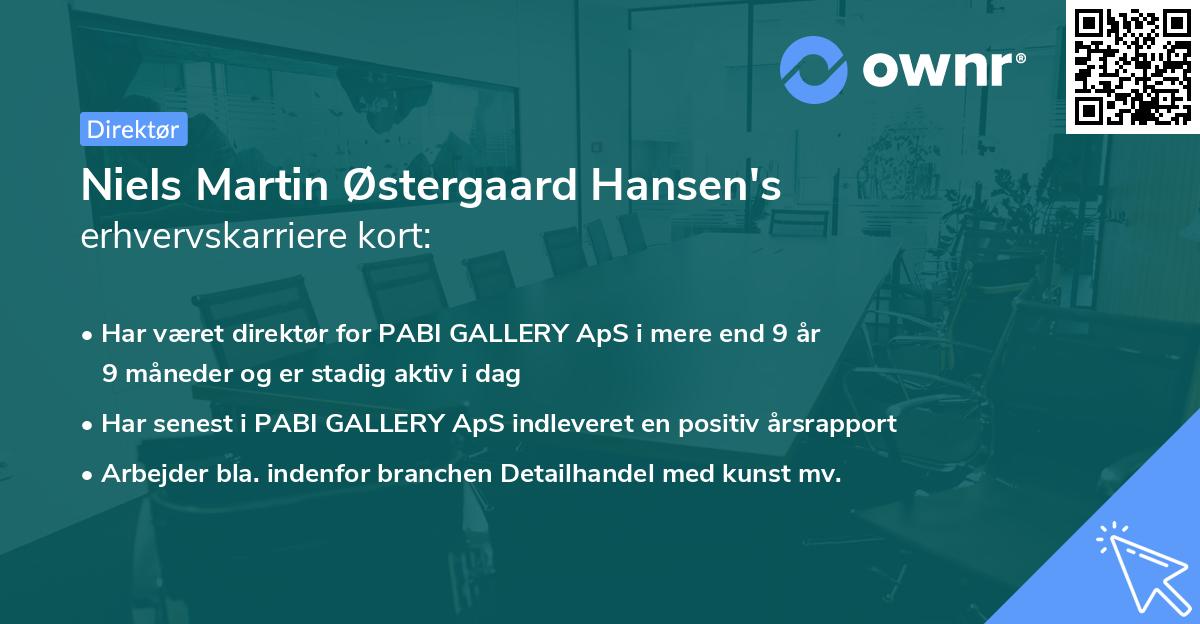 Niels Martin Østergaard Hansen's erhvervskarriere kort