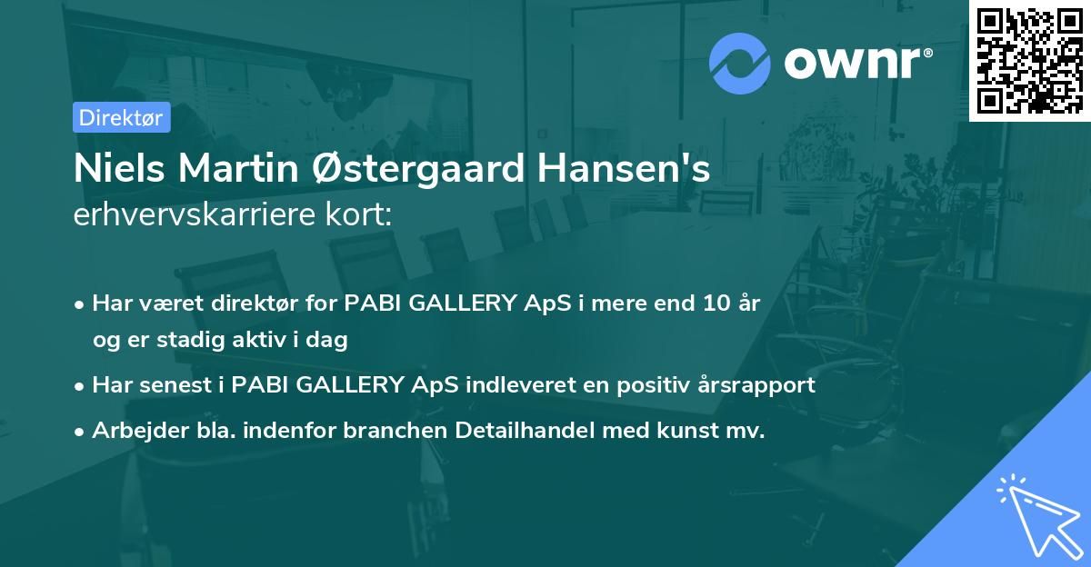 Niels Martin Østergaard Hansen's erhvervskarriere kort