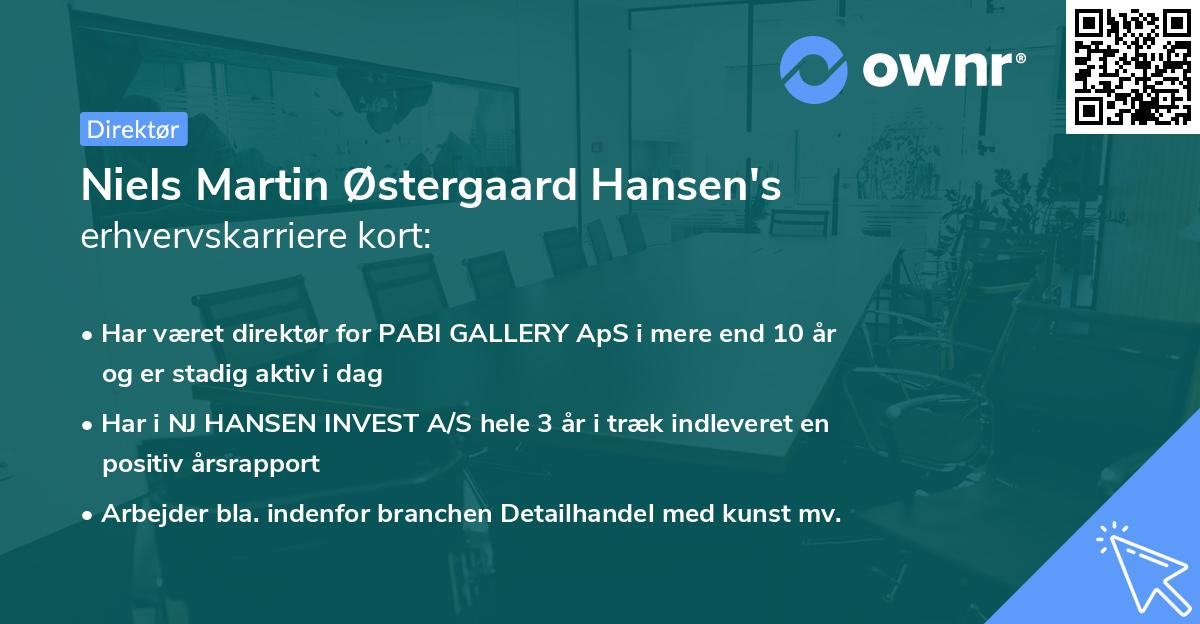 Niels Martin Østergaard Hansen's erhvervskarriere kort