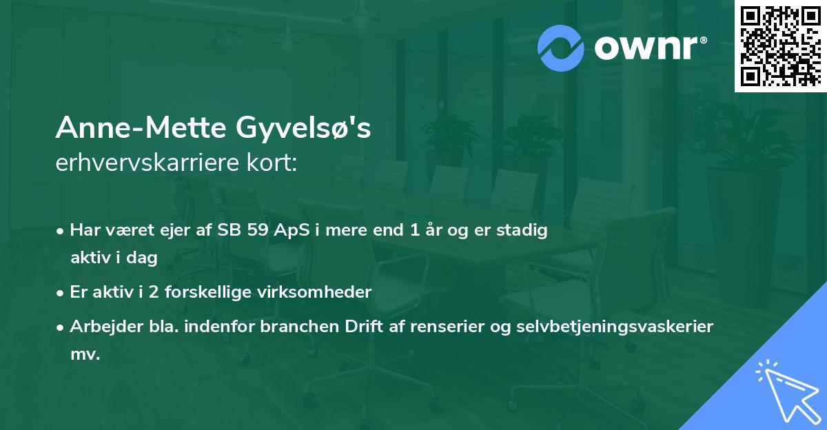 Anne-Mette Gyvelsø's erhvervskarriere kort