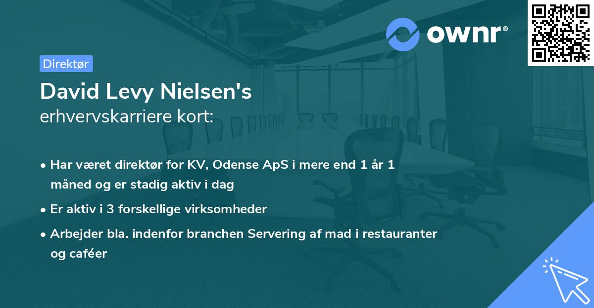 David Levy Nielsen's erhvervskarriere kort
