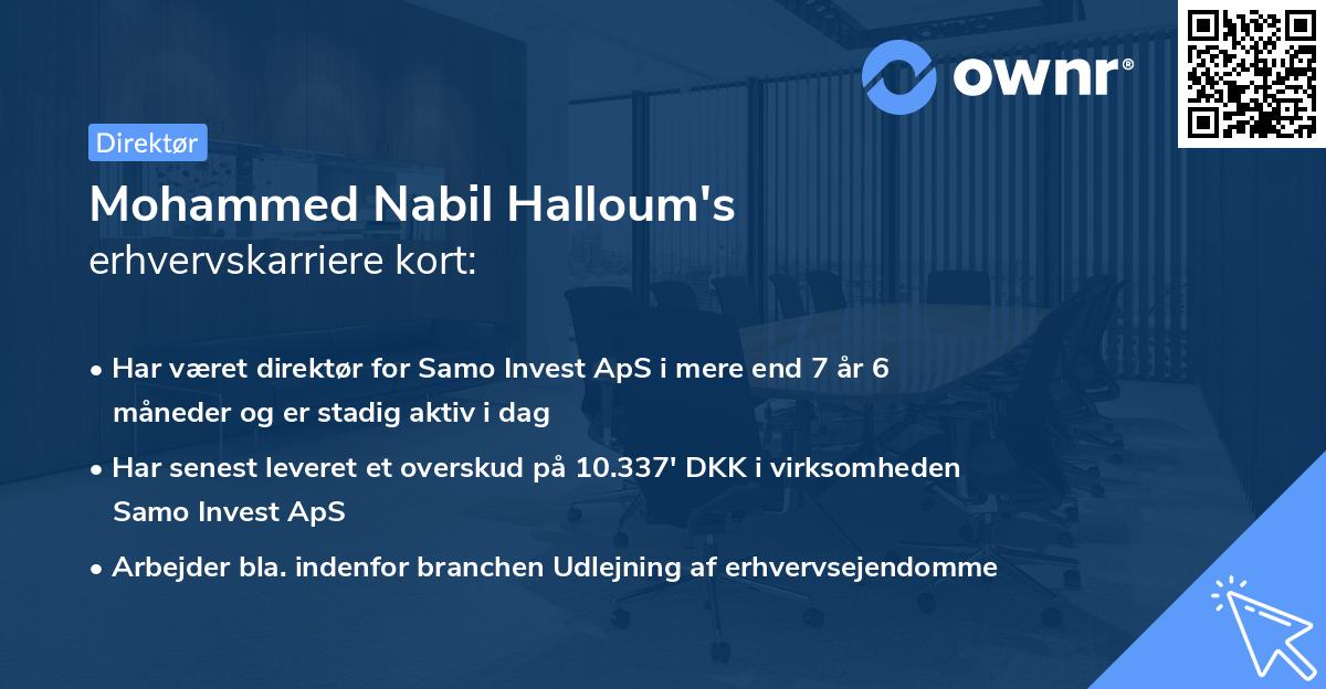 Mohammed Nabil Halloum's erhvervskarriere kort