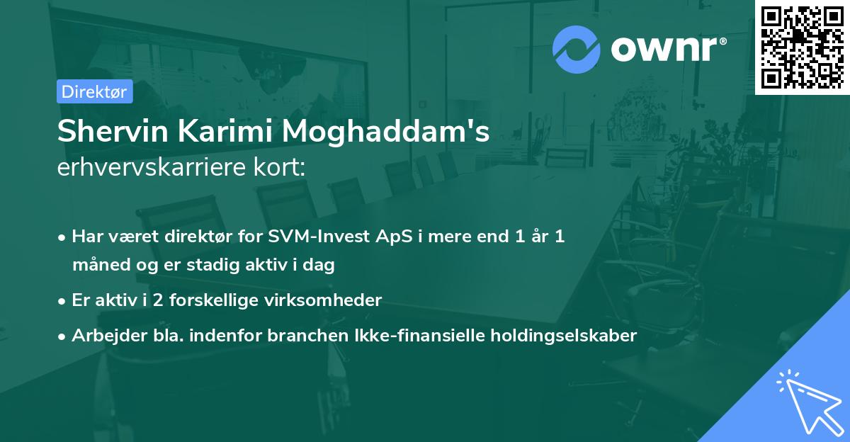 Shervin Karimi Moghaddam's erhvervskarriere kort