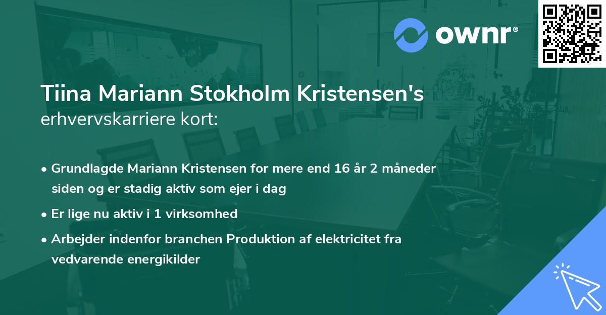 Tiina Mariann Stokholm Kristensen's erhvervskarriere kort