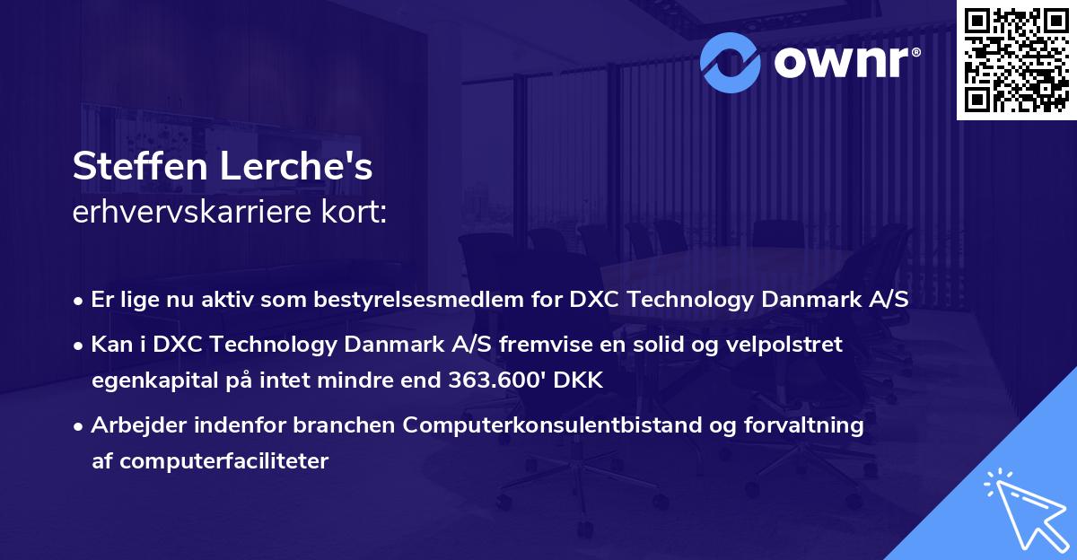 Steffen Lerche's erhvervskarriere kort