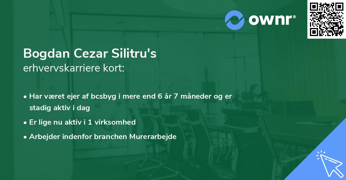 Bogdan Cezar Silitru's erhvervskarriere kort