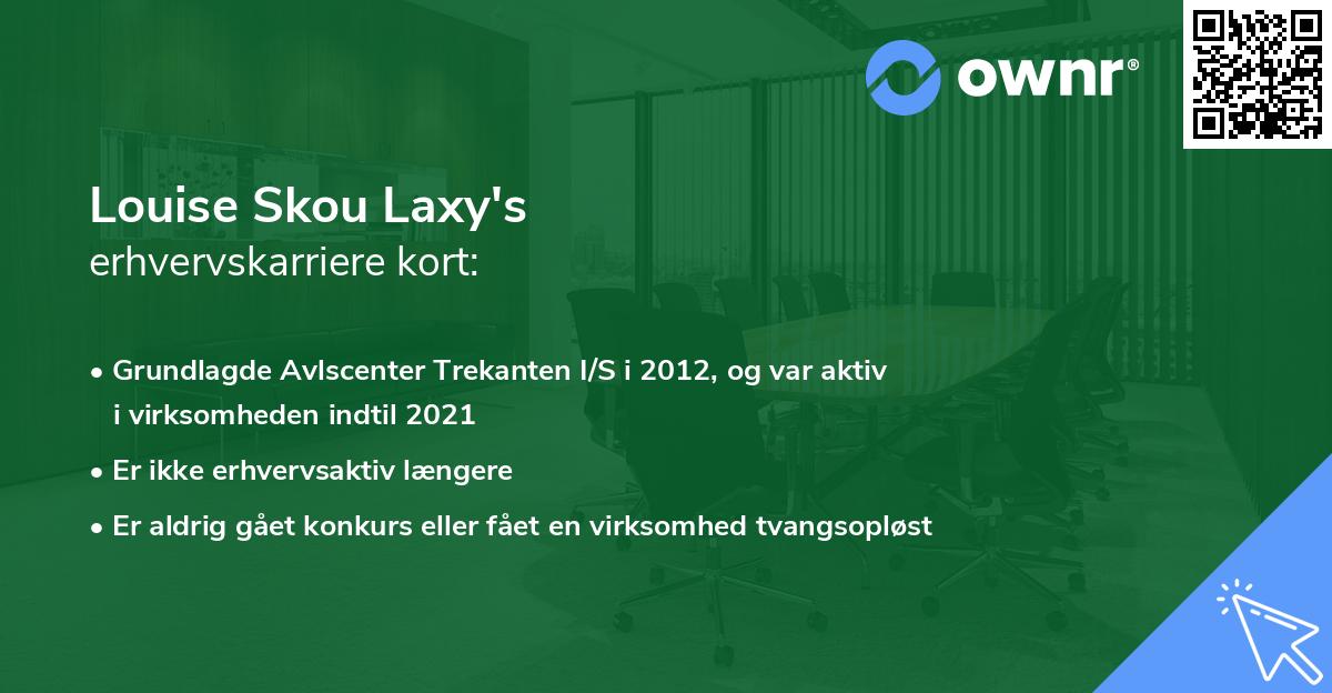 Louise Skou Laxy's erhvervskarriere kort