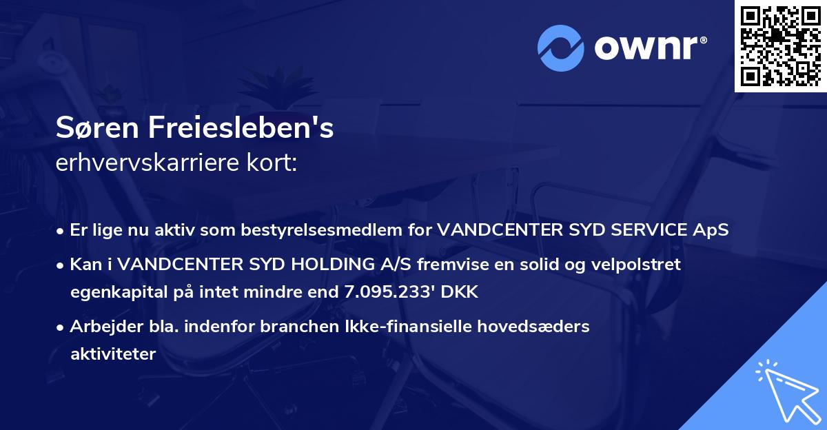 Søren Freiesleben's erhvervskarriere kort