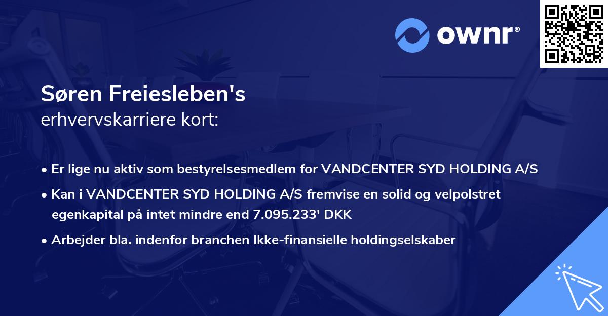 Søren Freiesleben's erhvervskarriere kort
