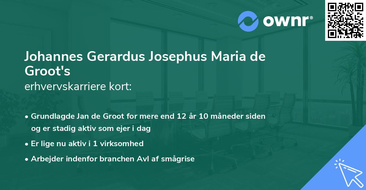 Johannes Gerardus Josephus Maria de Groot's erhvervskarriere kort
