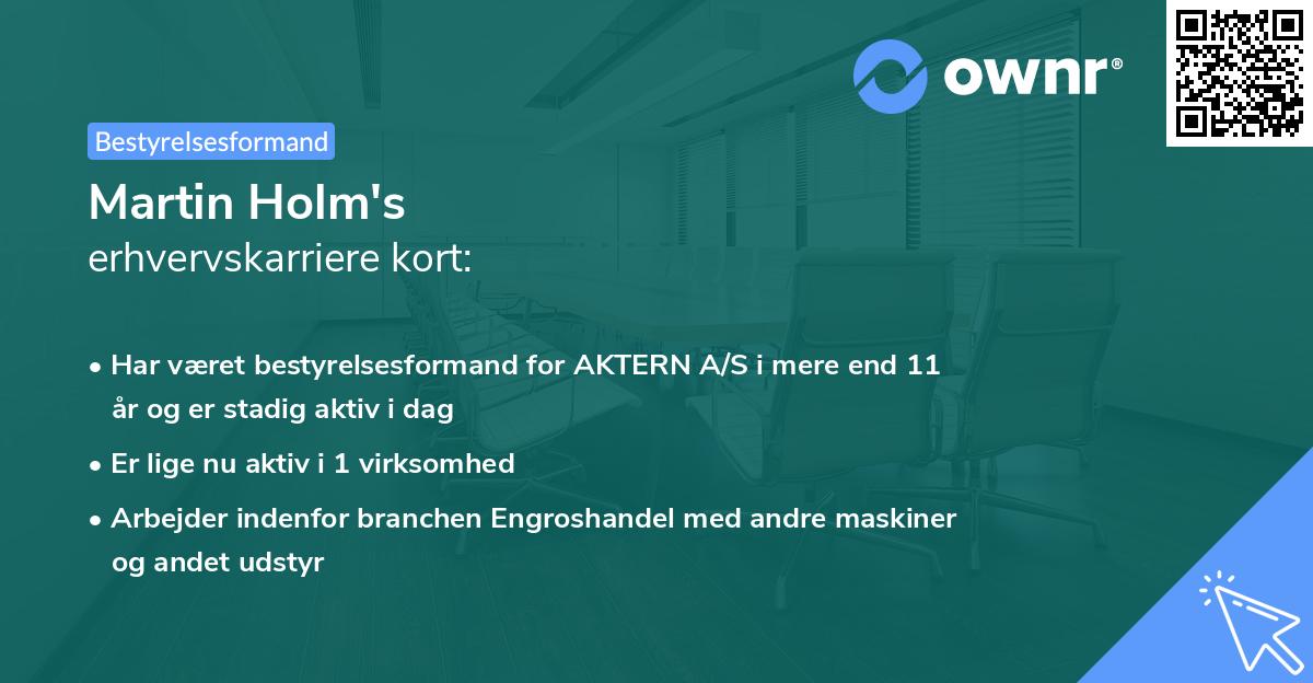 Martin Holm's erhvervskarriere kort