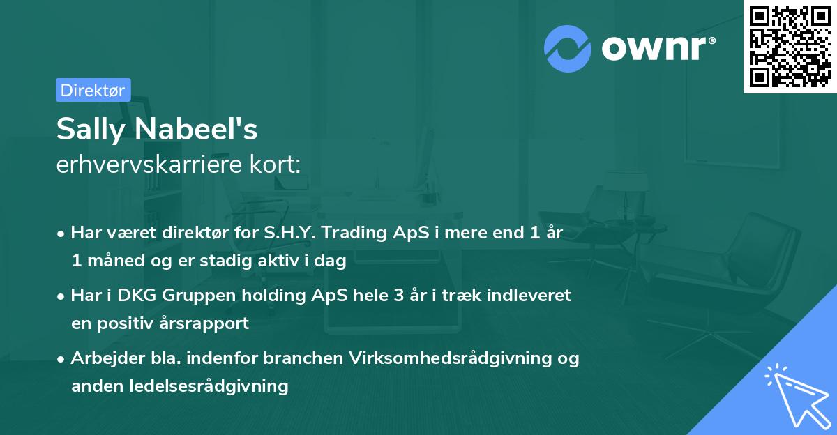 Sally Nabeel's erhvervskarriere kort