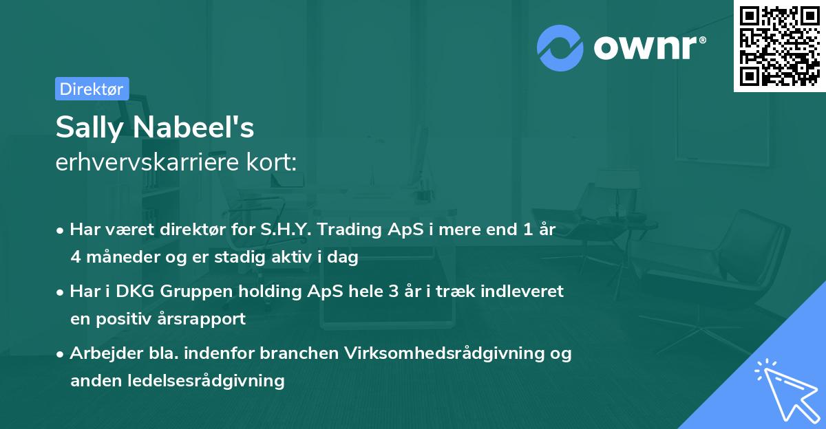 Sally Nabeel's erhvervskarriere kort