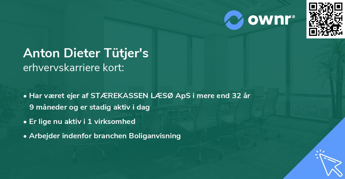 Anton Dieter Tütjer's erhvervskarriere kort