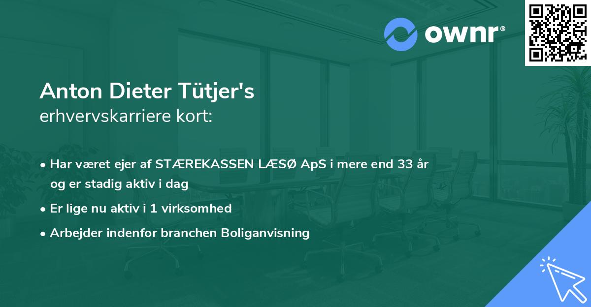 Anton Dieter Tütjer's erhvervskarriere kort