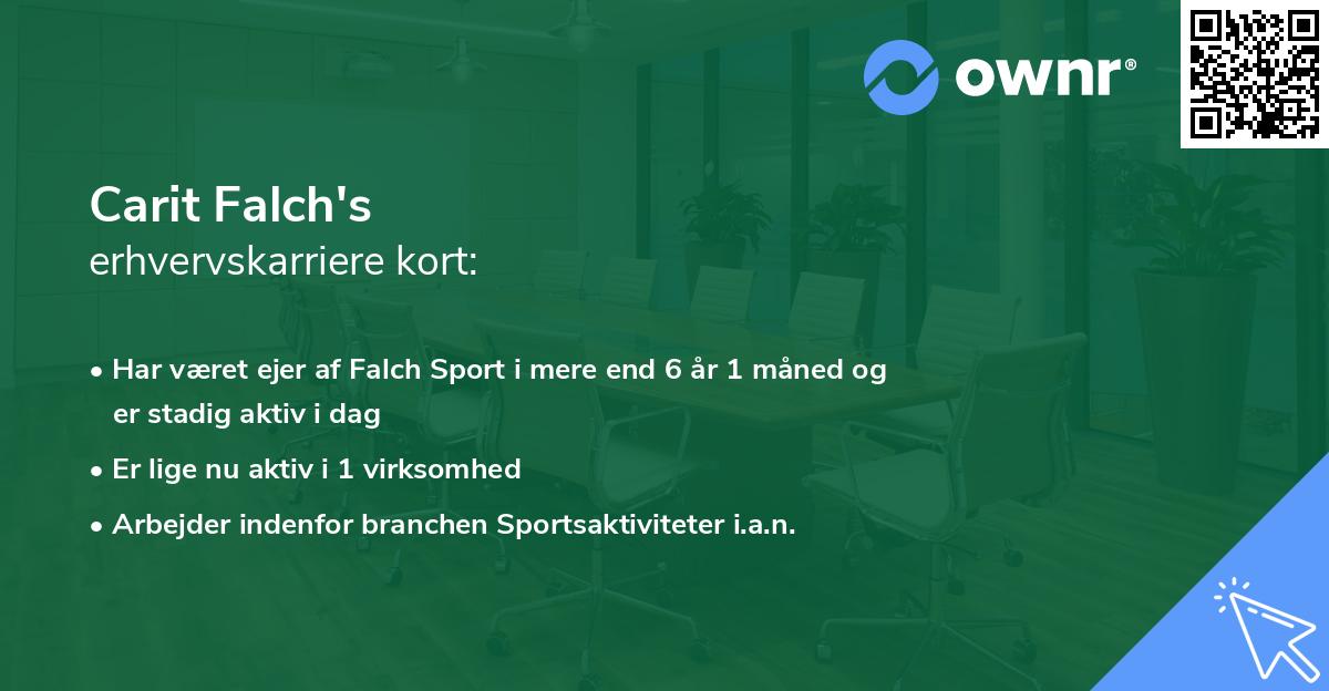 Carit Falch's erhvervskarriere kort