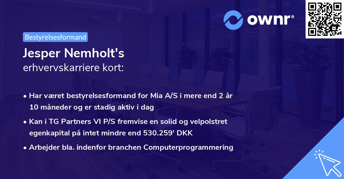 Jesper Nemholt's erhvervskarriere kort