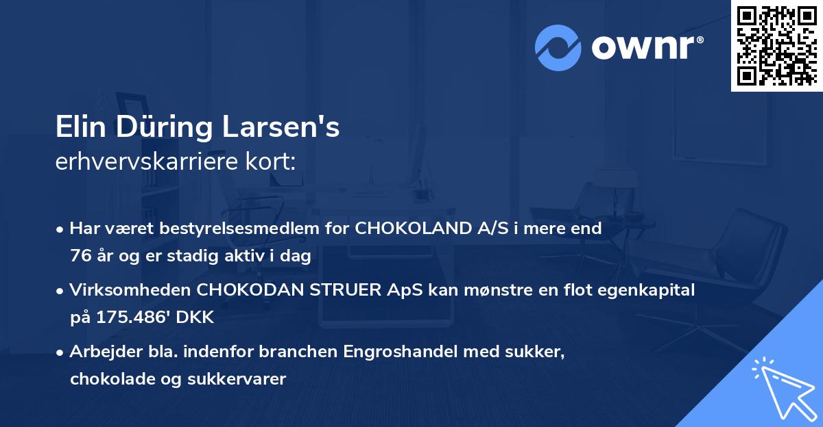 Elin Düring Larsen's erhvervskarriere kort