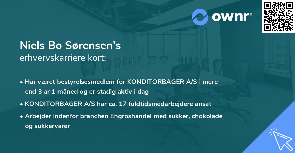 Niels Bo Sørensen's erhvervskarriere kort