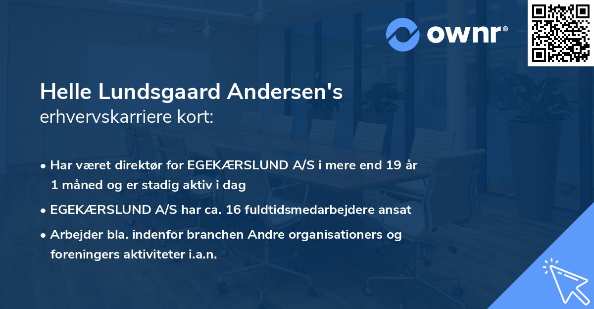 Helle Lundsgaard Andersen's erhvervskarriere kort