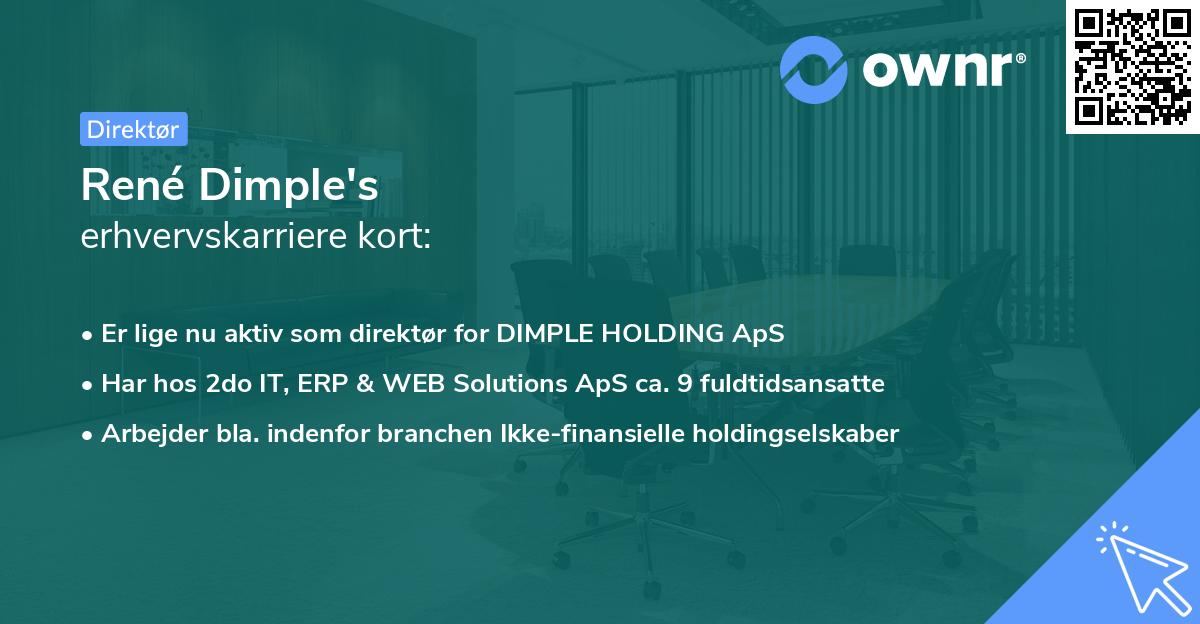 René Dimple's erhvervskarriere kort