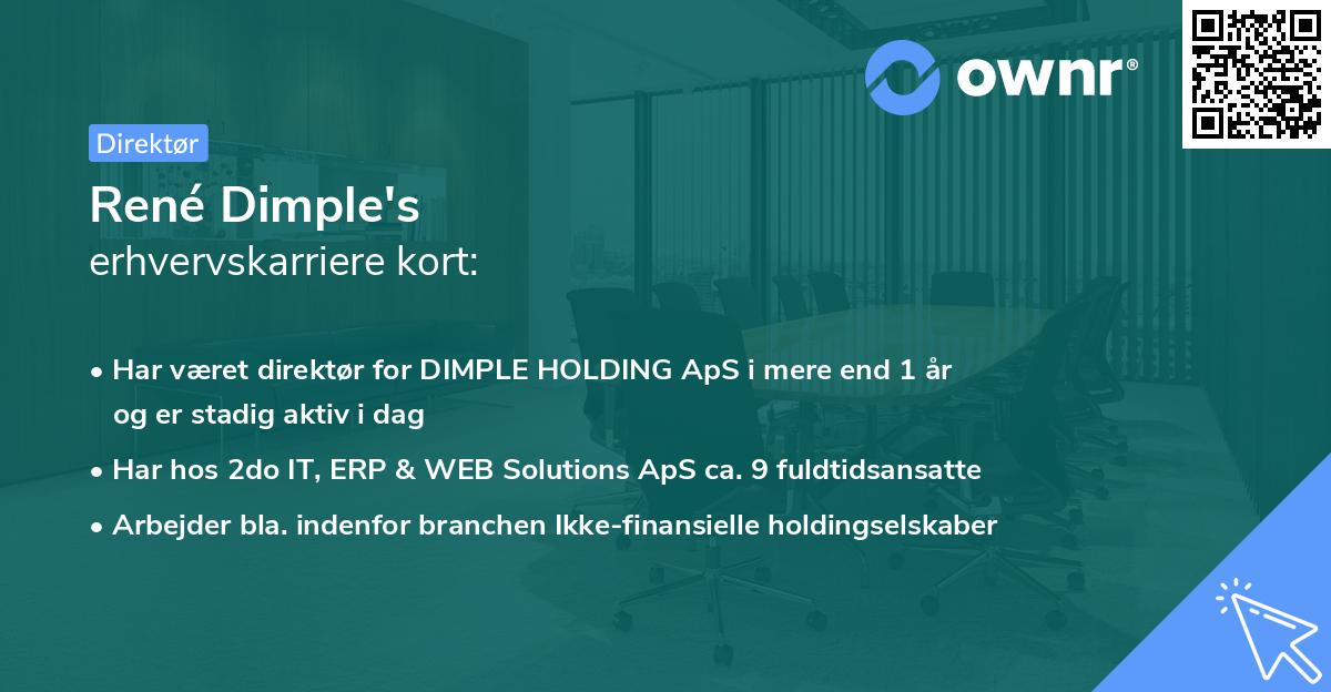 René Dimple's erhvervskarriere kort