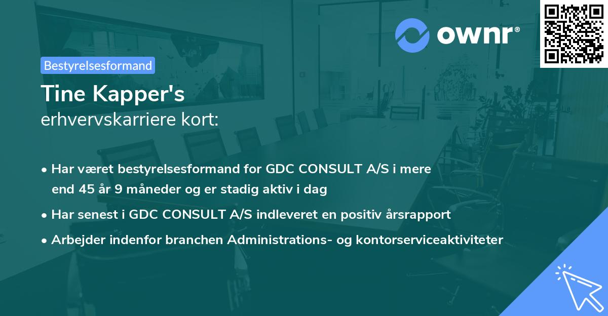 Tine Kapper's erhvervskarriere kort