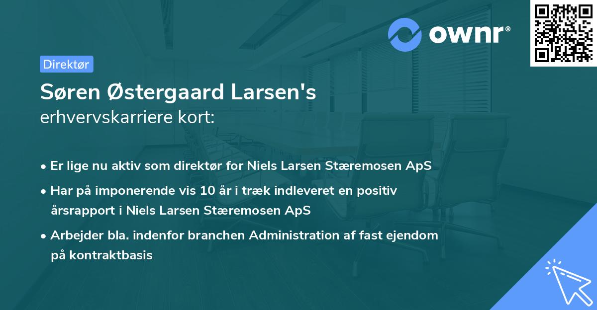 Søren Østergaard Larsen's erhvervskarriere kort