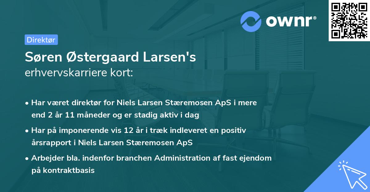 Søren Østergaard Larsen's erhvervskarriere kort