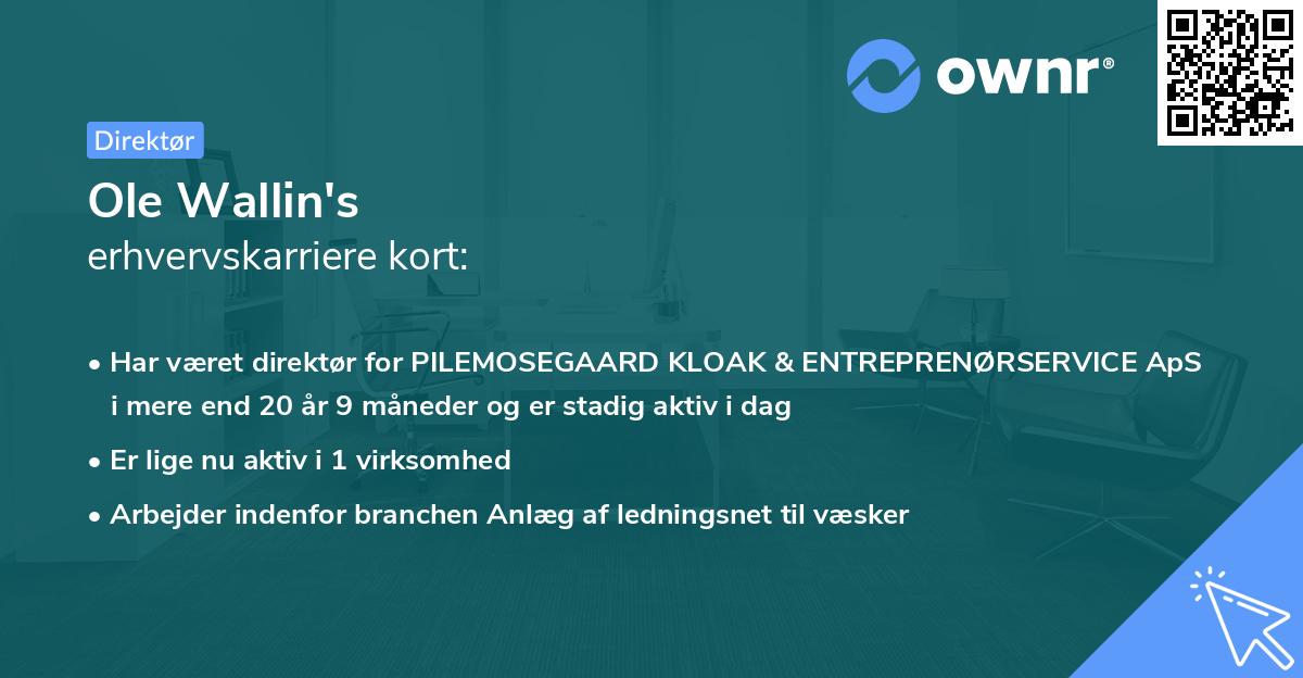 Ole Wallin's erhvervskarriere kort