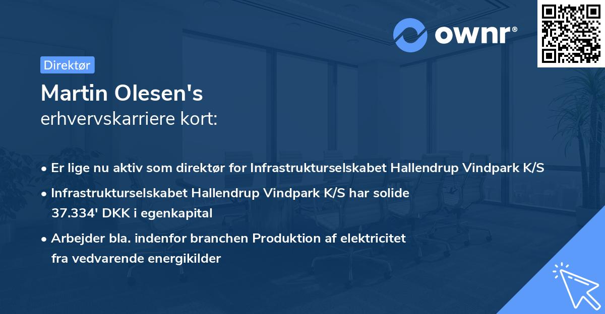 Martin Olesen's erhvervskarriere kort