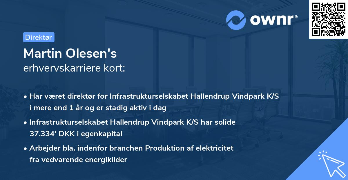 Martin Olesen's erhvervskarriere kort