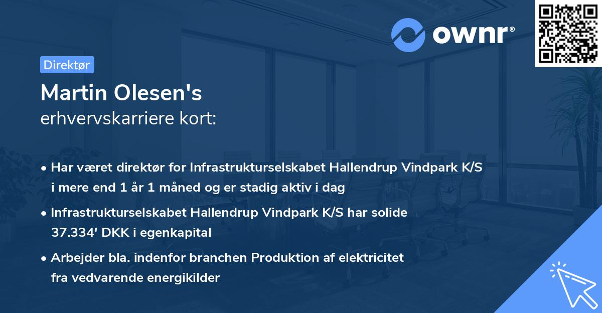 Martin Olesen's erhvervskarriere kort