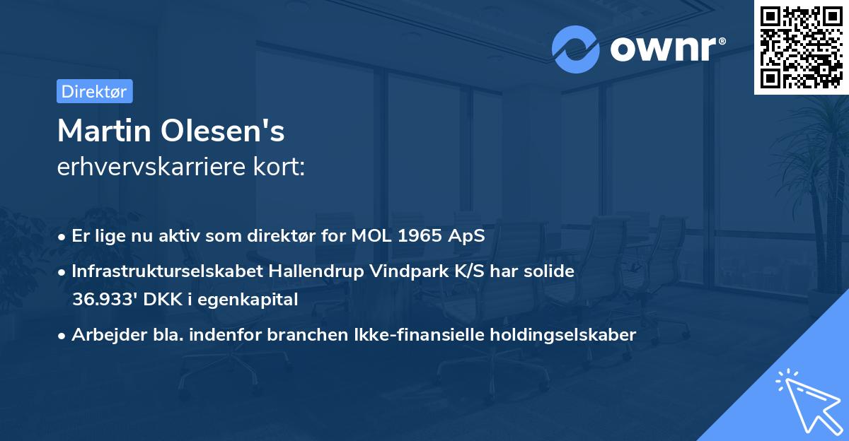 Martin Olesen's erhvervskarriere kort