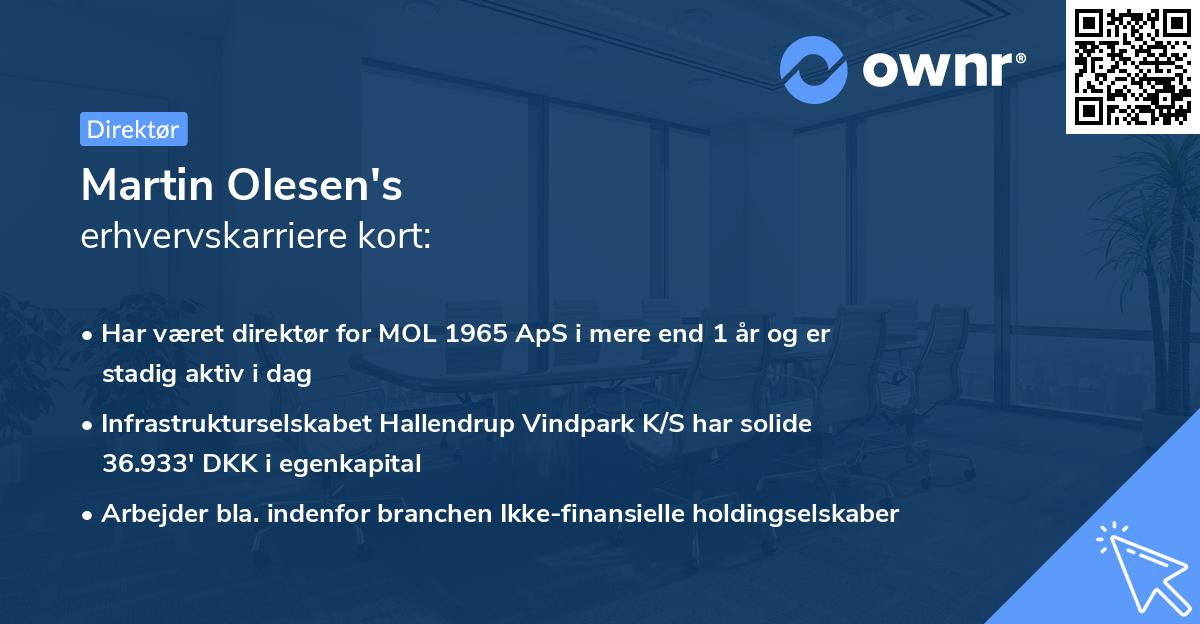 Martin Olesen's erhvervskarriere kort