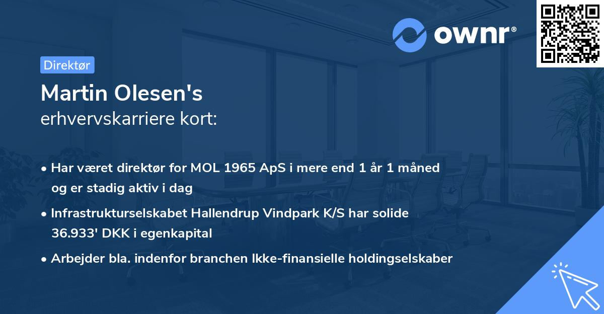 Martin Olesen's erhvervskarriere kort
