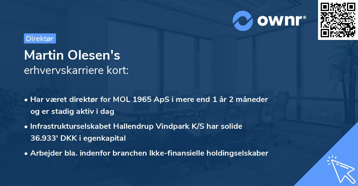 Martin Olesen's erhvervskarriere kort