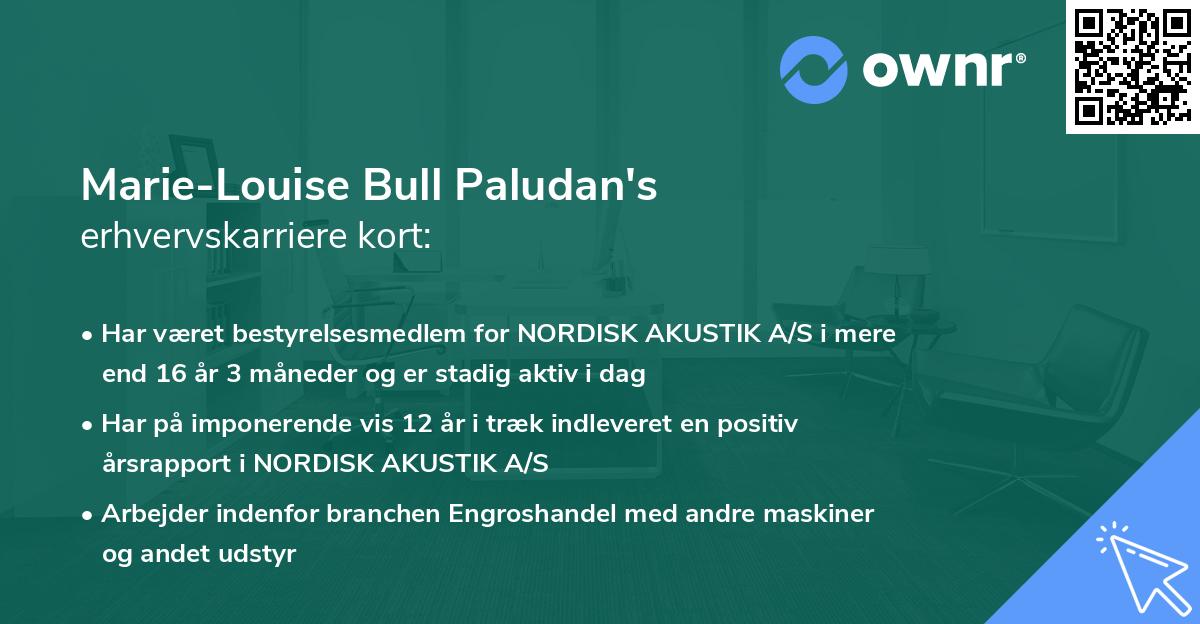 Marie-Louise Bull Paludan's erhvervskarriere kort
